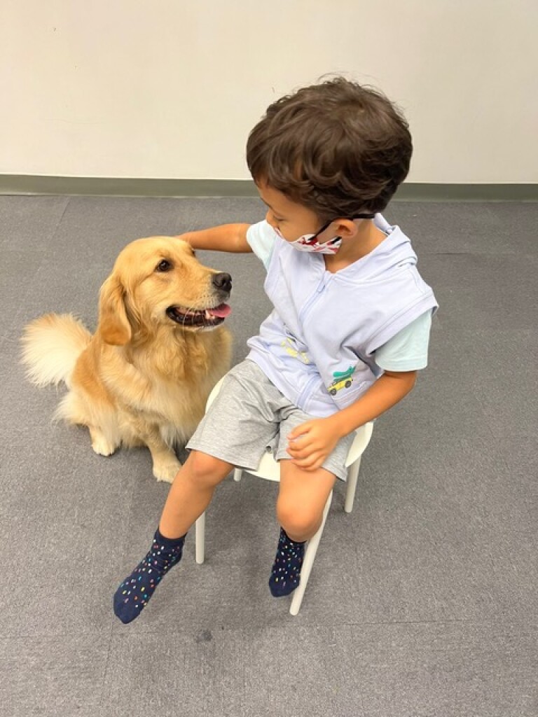 Animal Assisted Intervention Social Skills Group