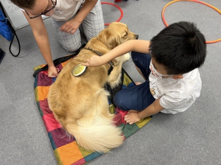 Animal Assisted Intervention Social Skills Group
