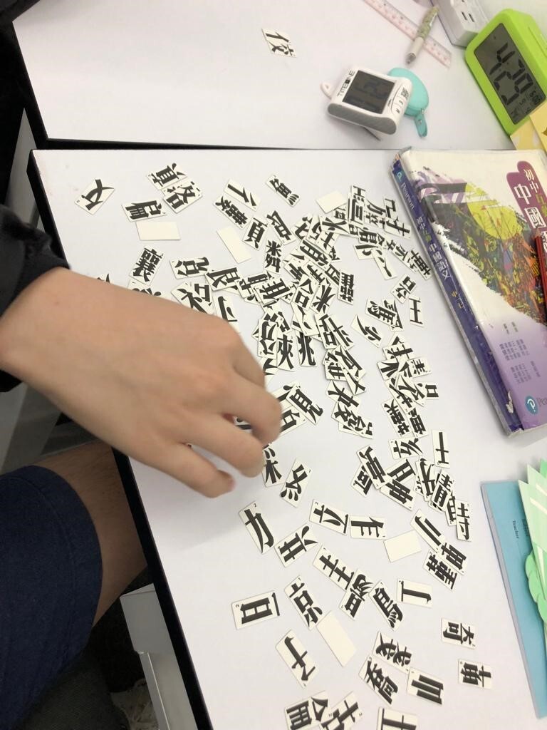 特殊教育需要學生補習．訓練資助計劃