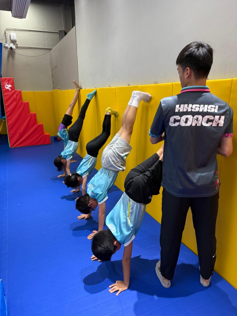 運動治療-綜合運動能力指標章別獎勵計劃