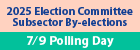 2025 Election Committee Subsector By-elections